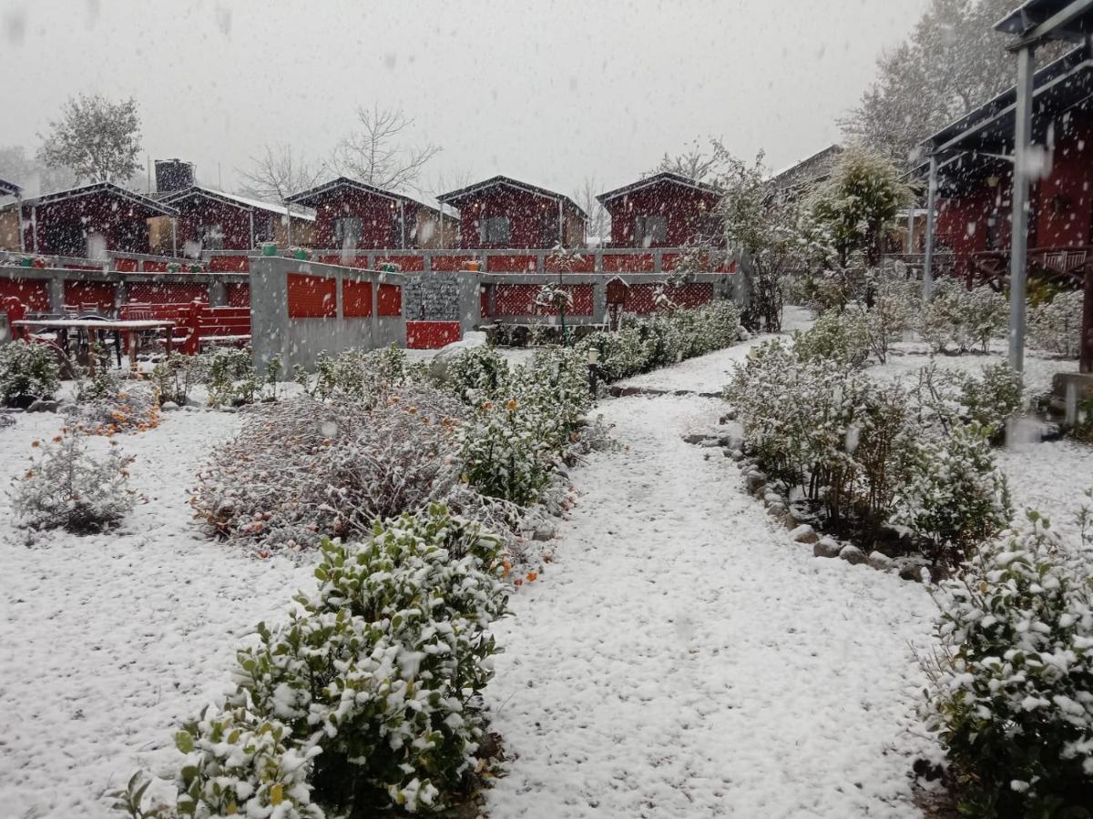 Flora Hills View Manali (Himachal Pradesh) Exterior photo
